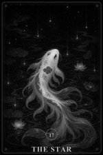 星星 未解锁