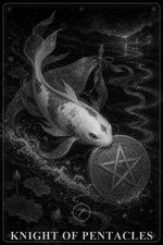 星币骑士 未解锁