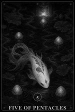 星币五 未解锁