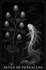 星币七 未解锁